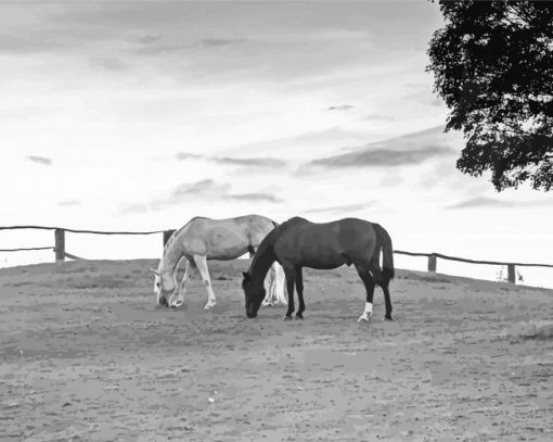 Black And White Ranch And Horses Diamond Painting