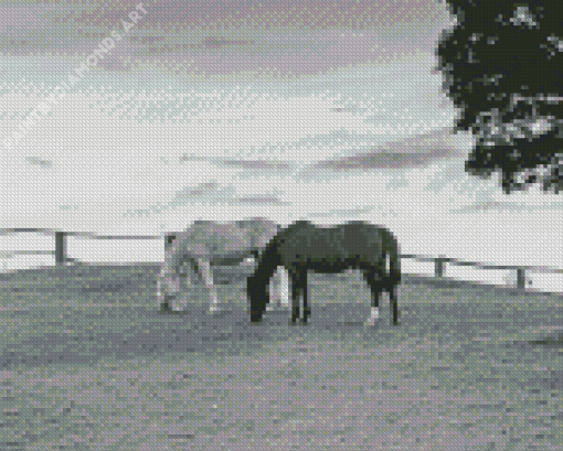 Black And White Ranch And Horses Diamond Painting