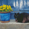 Black Cats And Flowers In Pot Diamond Painting