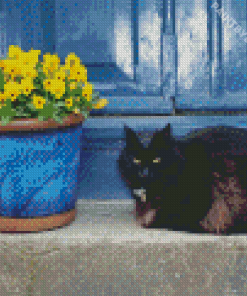 Black Cats And Flowers In Pot Diamond Painting