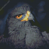 Black Eagle Bird Diamond Painting