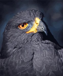 Black Eagle Bird Diamond Painting