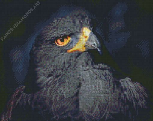 Black Eagle Bird Diamond Painting