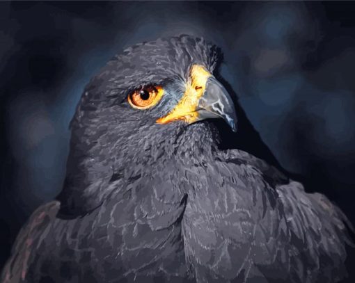 Black Eagle Bird Diamond Painting