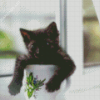 Black Kitten In Cup Diamond Painting