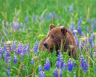 Brown Bear In Flowers Field Diamond Painting