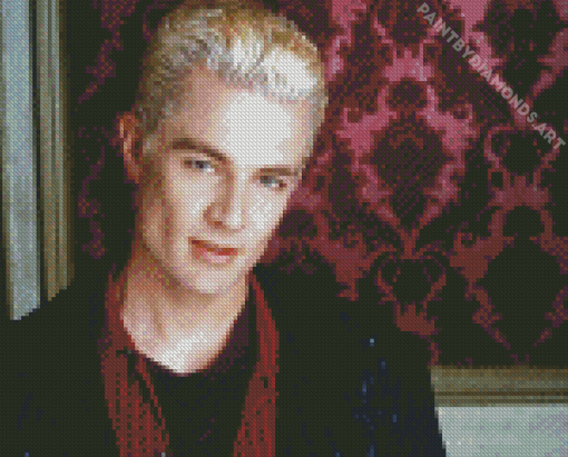 Cool James Wesley Marsters Diamond Painting