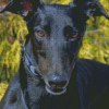 Black Greyhound Diamond Painting