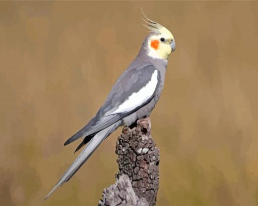 Cockatiel Parrot Bird Diamond Painting