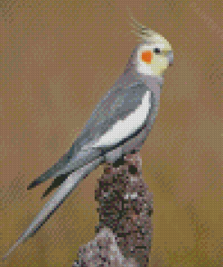 Cockatiel Parrot Bird Diamond Painting