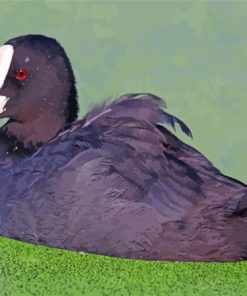 Coots In Green Water Diamond Painting
