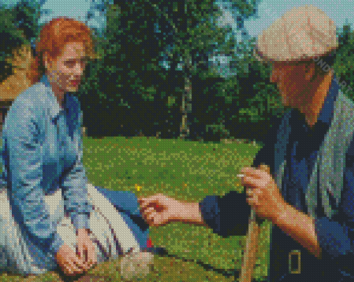 The Quiet Man Drama Movie Characters Diamond Painting