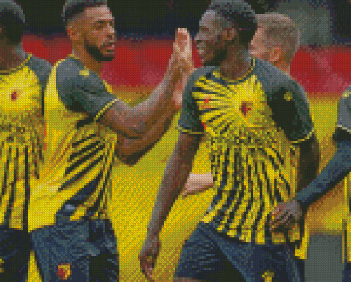 Watford Football Club Players Diamond Painting