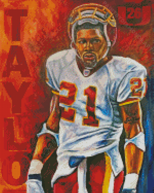 Sean Taylor Redskins Art Diamond Painting