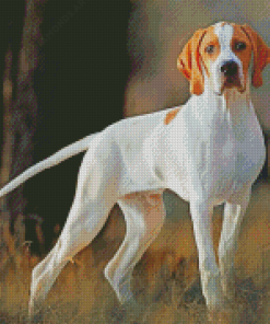 White Pointing Dog Diamond Painting
