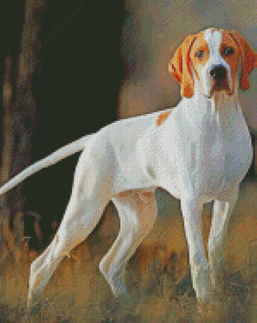 White Pointing Dog Diamond Painting