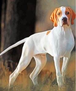 White Pointing Dog Diamond Painting