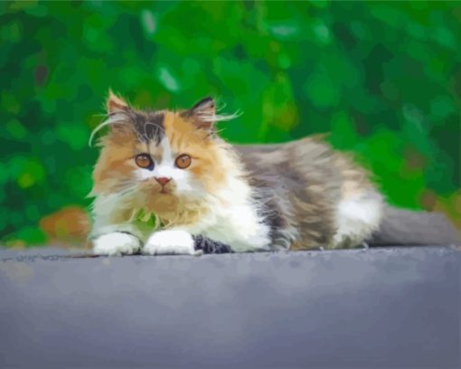 Young Persian Cat Diamond Painting