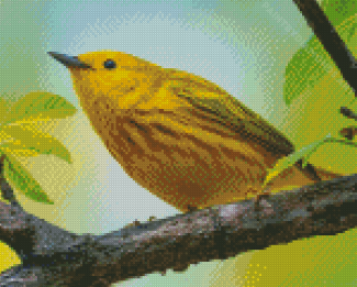 American Yellow Warbler On Tree Branch Diamond Painting