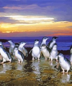 Australia Phillip Island Penguins Diamond Painting