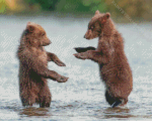 Bear Cubs In Water Diamond Painting