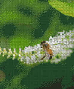 Bee On Aloysia Flowers Diamond Painting