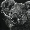 Black And White Koala Animal Diamond Painting