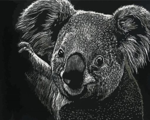 Black And White Koala Animal Diamond Painting