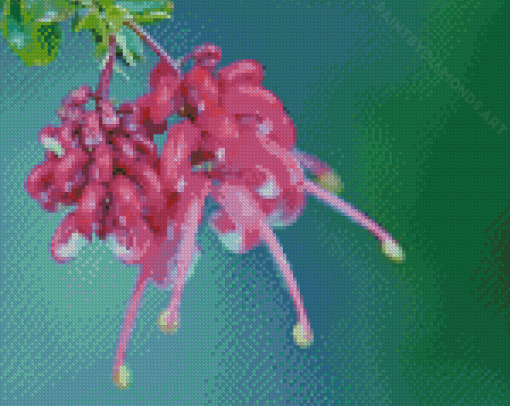 Closed Grevillea Diamond Painting