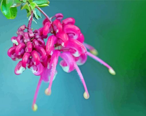 Closed Grevillea Diamond Painting