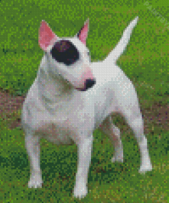 English Bull Terrier Diamond Painting