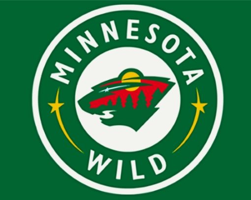 Minnesota Wild Diamon Painting