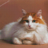 Orange And White Fluffy Cat Diamond Painting