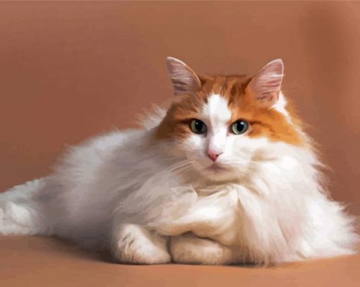 Orange And White Fluffy Cat Diamond Painting