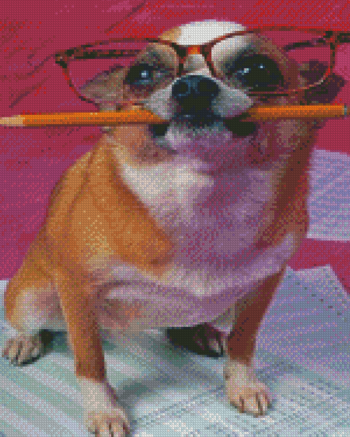 The Chihuahua With Glasses Diamond Painting