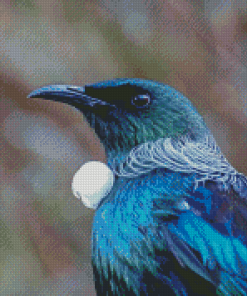 Tui Bird Head Diamond Painting