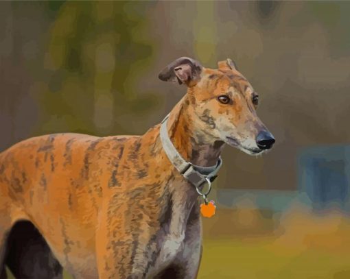 Aesthetic Greyhound Dog Diamond Painting