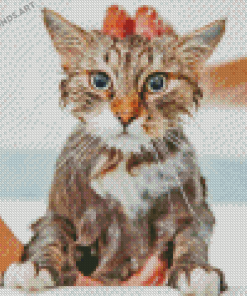 Cat In The Shower Diamond Painting