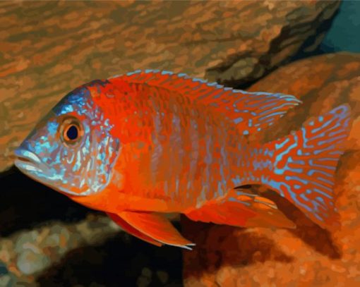 Cichlid Diamond Painting