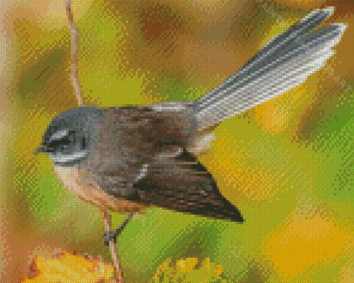 Cool Fantail Diamond Painting