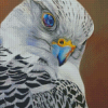 Cool White Gyrfalcon Bird Diamond Painting