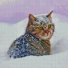 Cute Kitten Animals In Snow Diamond Painting
