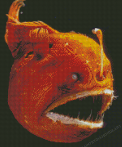 Orange Anglerfish Diamond Painting