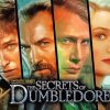 Secrets Of Dumbledore Actors Diamond Painting