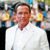 Arnold Schwarzenegger Actor Diamond Painting