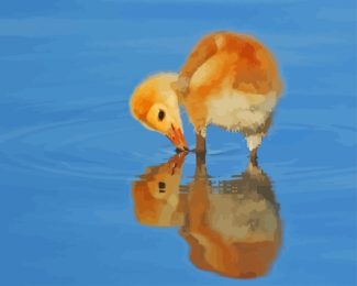 Baby Sandhill Crane Drinking Water Diamond Painting