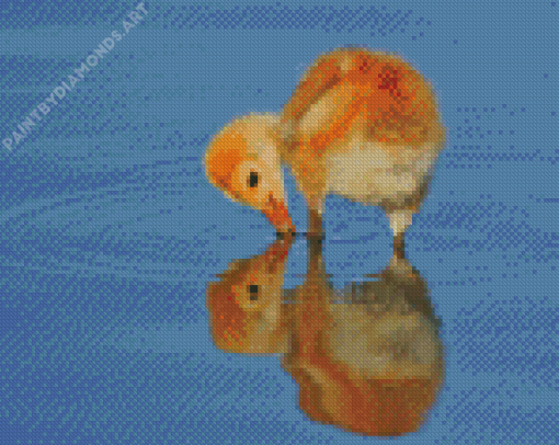 Baby Sandhill Crane Drinking Water Diamond Painting