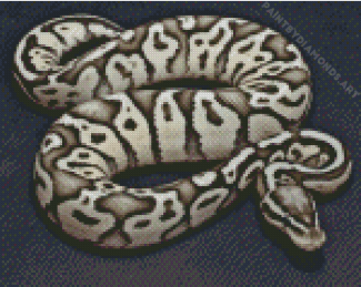 royal python Diamond Painting - PaintByDiamonds.ART
