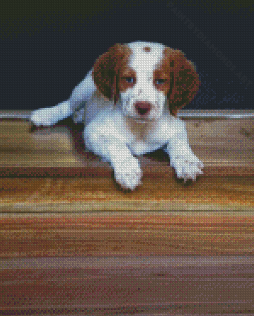 Brittany Puppy Dog Diamond Painitng