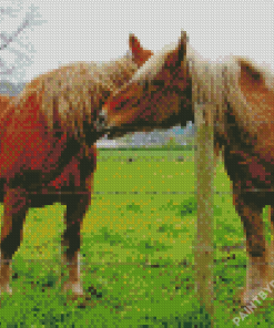 Brown Percheron Horses In Farm Diamond Painting